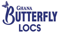 Bijoux Ghana 3X Butterfly Locs 12"